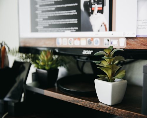 Close up of a clean desk setup with a monitor and a small indoor plant